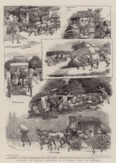 Entrenamiento en Ceilán, incidentes de un viaje al interior de William Ralston